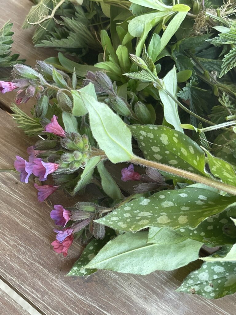 foraging