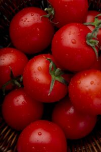 pomodori