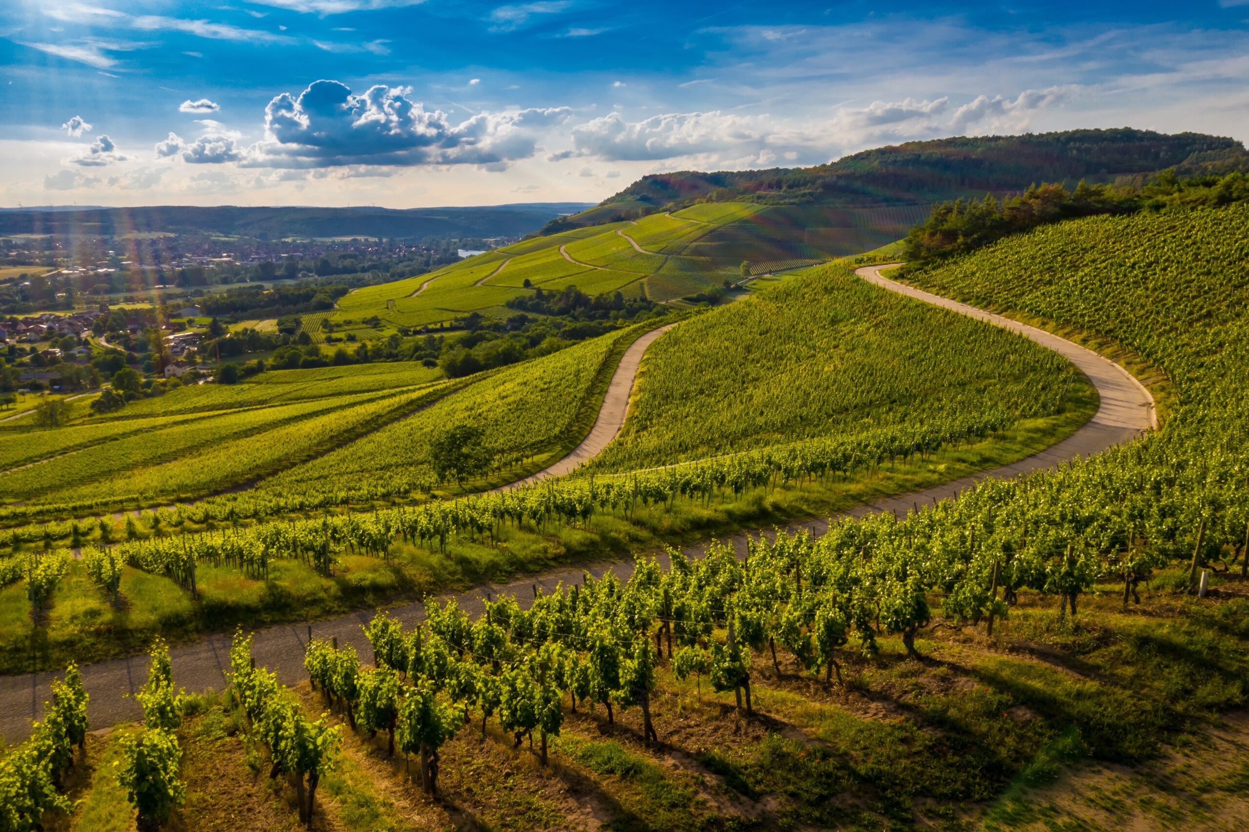 Un viaggio nella Tuscia: ricette ispirate alla tradizione contadina!