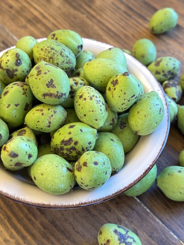 noci verdi