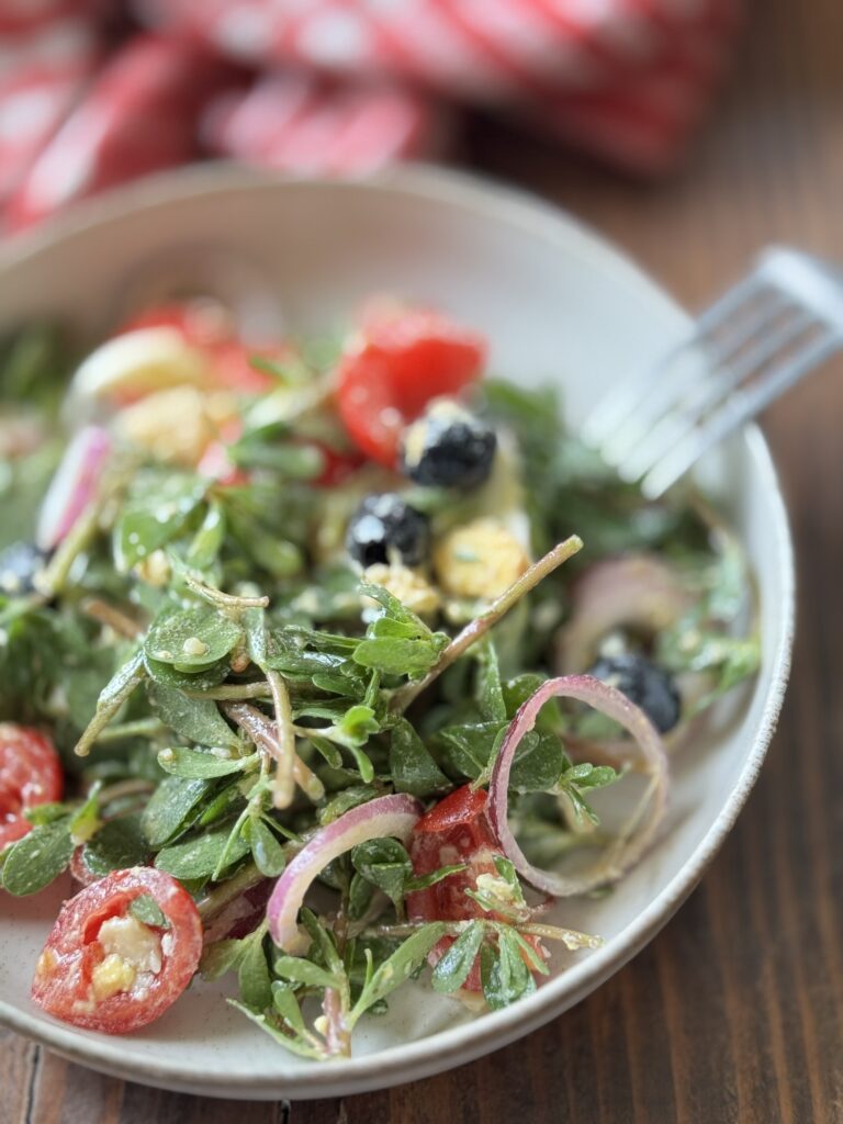 insalata di portulaca