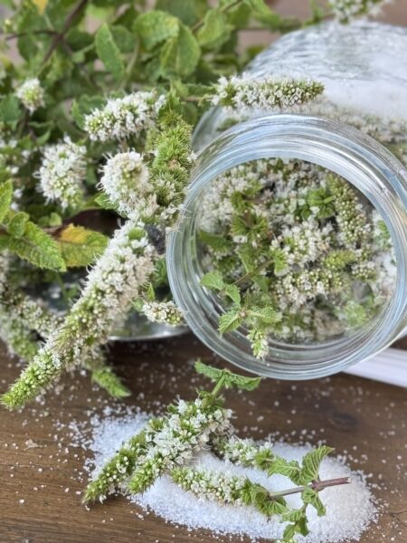 zucchero in barattolo con fiori di menta