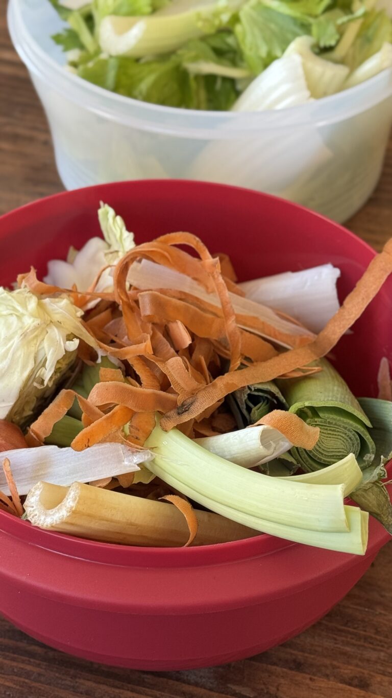 Come conservare gli scarti delle verdure in una box antispreco in frigorifero
