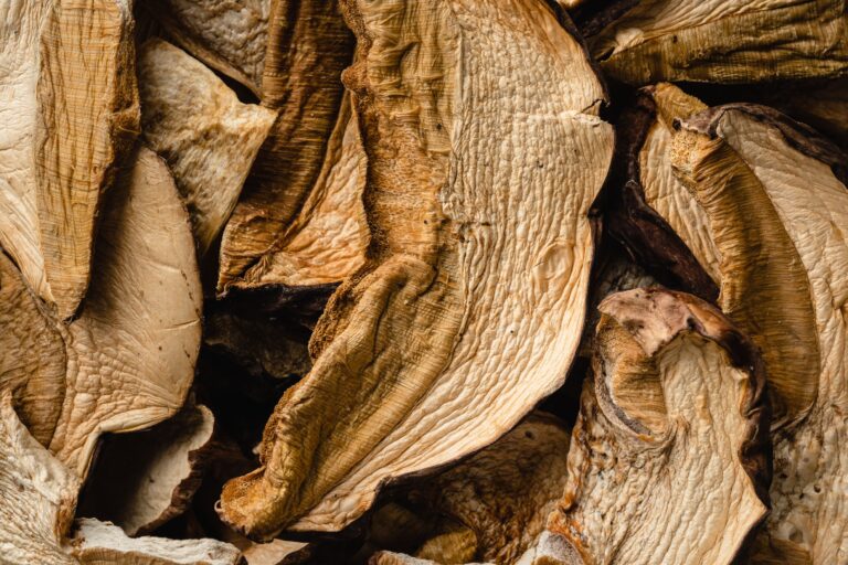 Funghi affettati essiccati in casa pronti per essere conservati