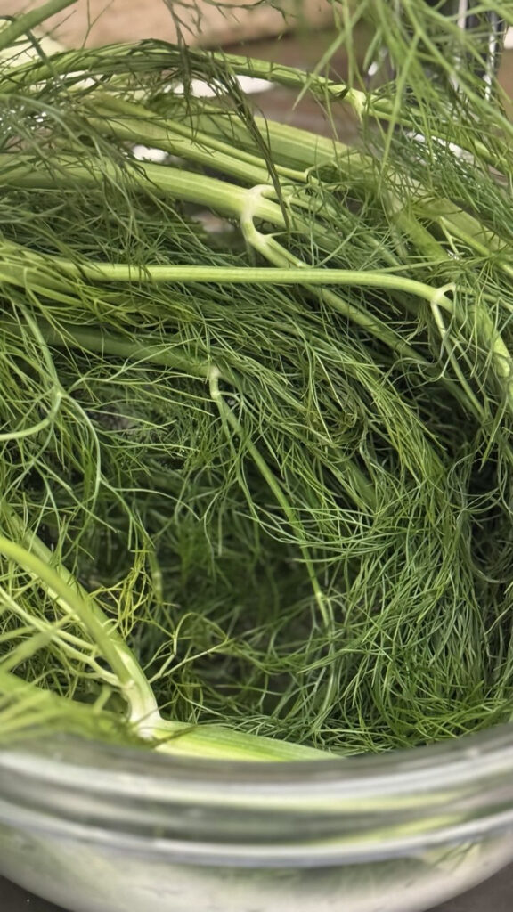 barba del finocchio in una ciotola