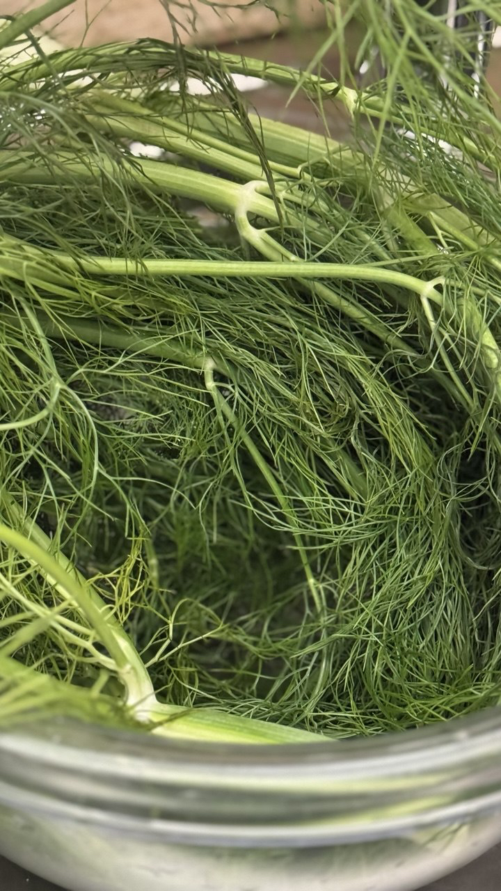 barba del finocchio in una ciotola