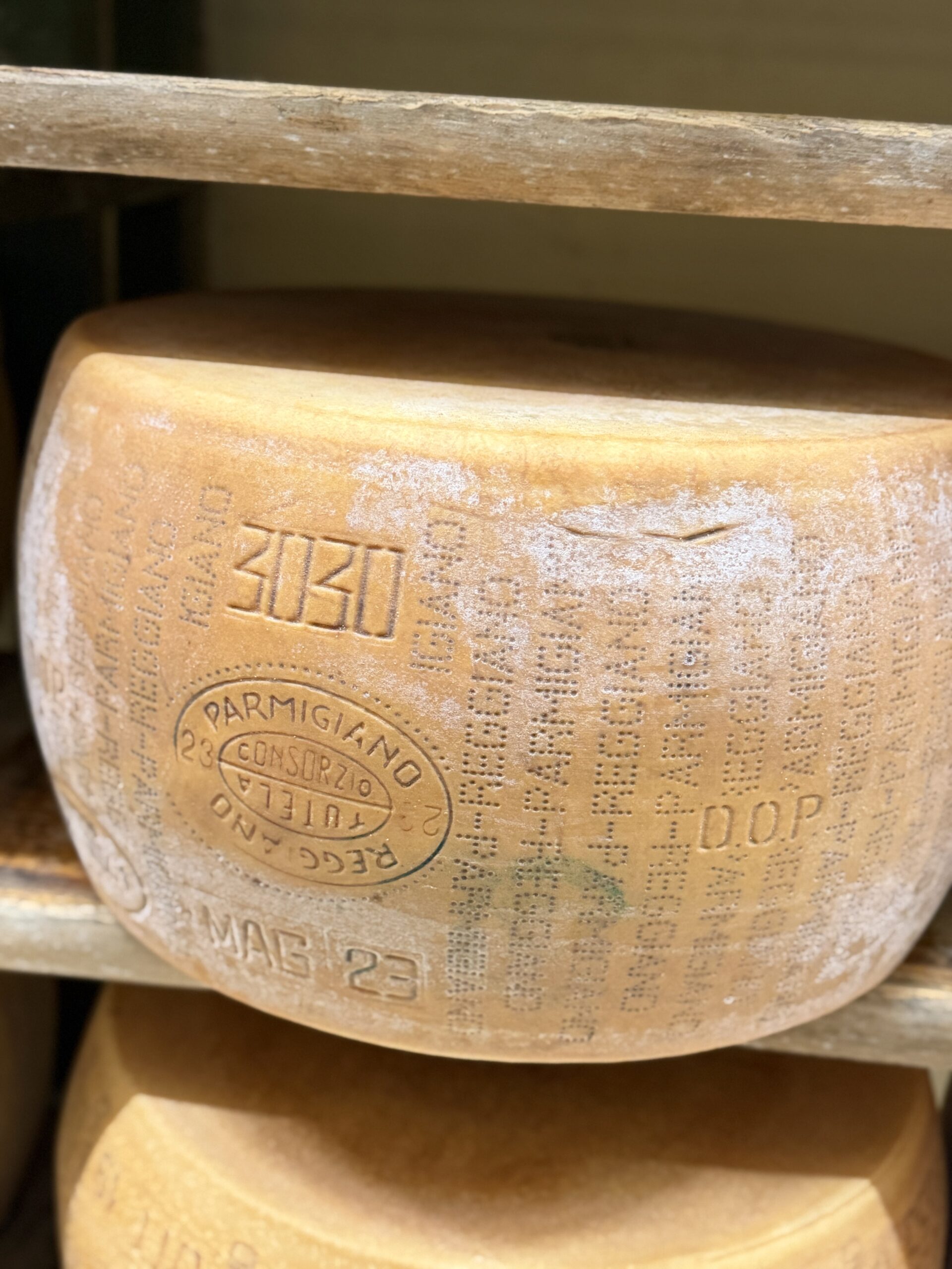 Forma di Parmigiano Reggiano DOP